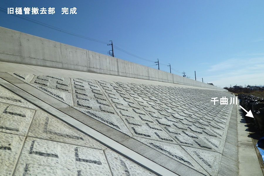 令和7年3月撮影