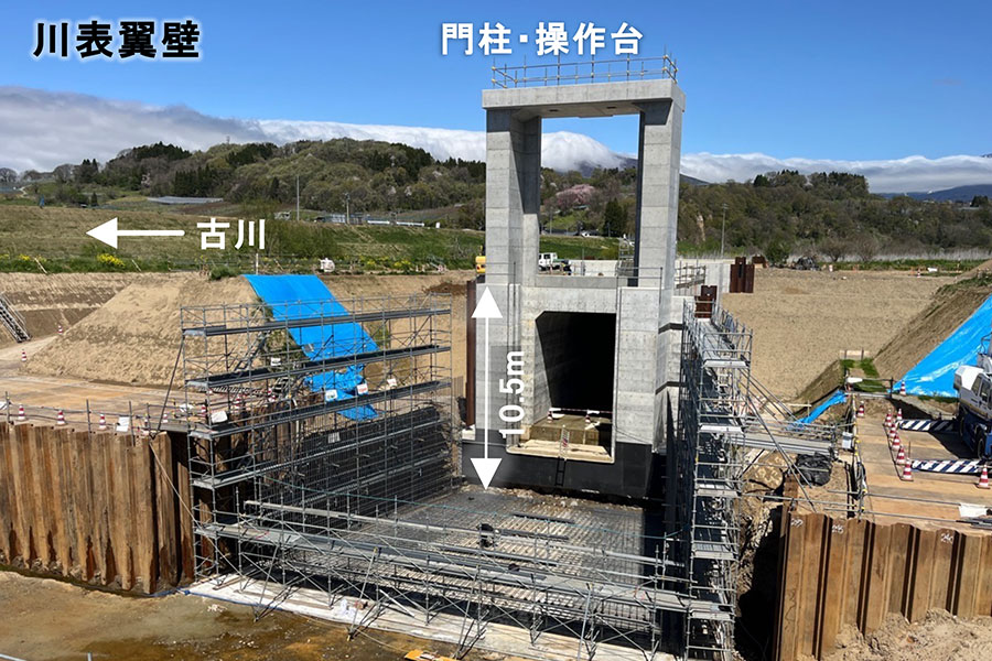 令和7年4月撮影