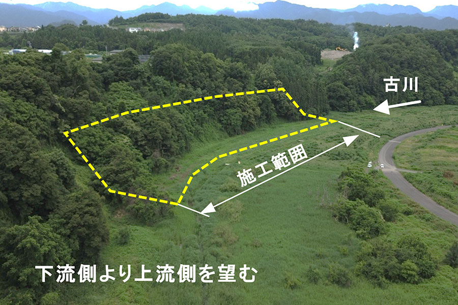 令和7年6月撮影