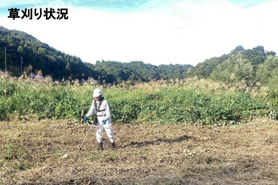 令和7年9月撮影