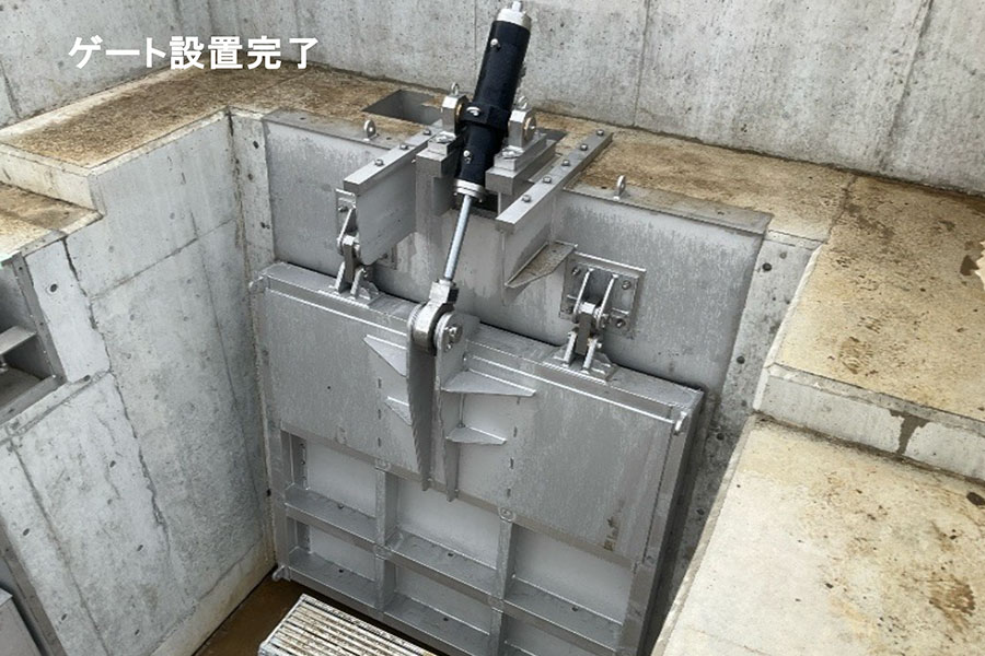 令和7年11月撮影