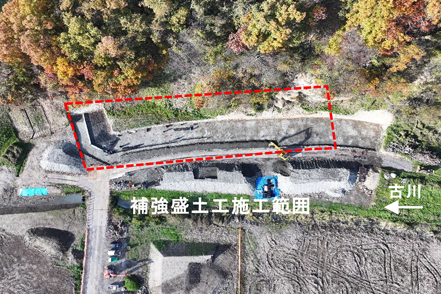 令和7年11月撮影