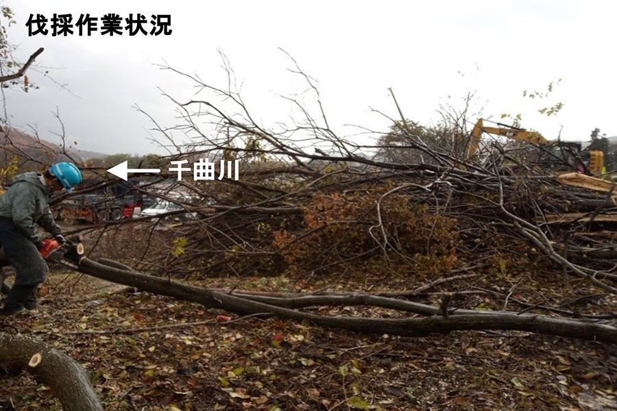 令和7年11月撮影