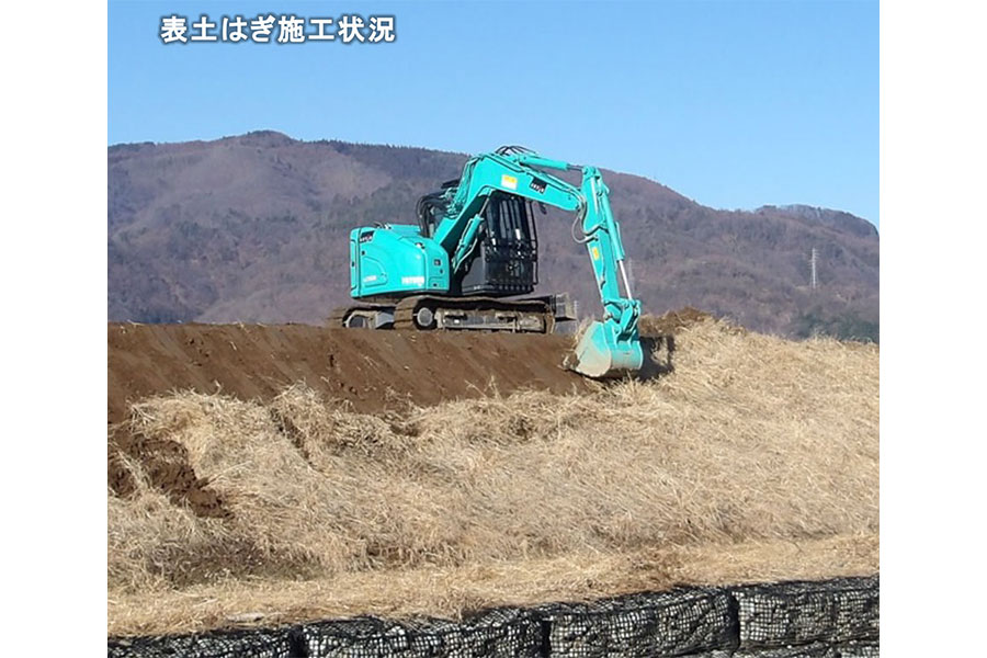 令和8年1月撮影