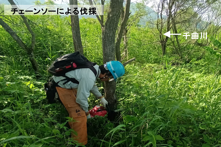 令和8年5月撮影