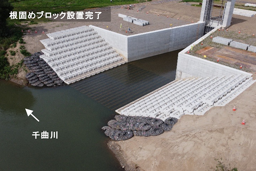 令和8年6月撮影